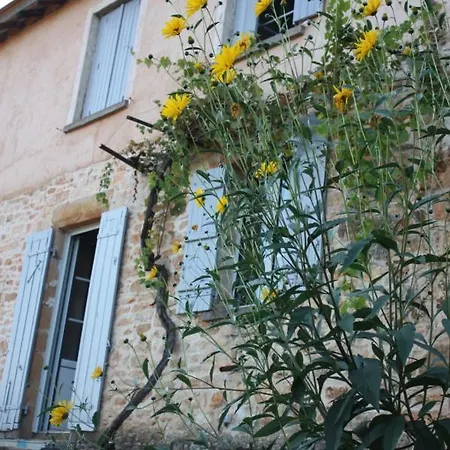 Le Canard Enchanté Couette-café *