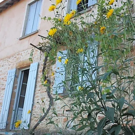 Le Canard Enchanté *